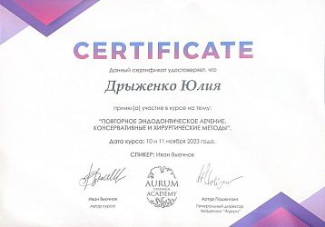 Дрыженко Юлия Евгеньевна диплом 11